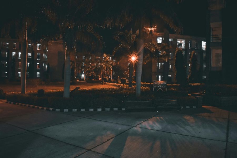 A building at night with trees and streetlights.